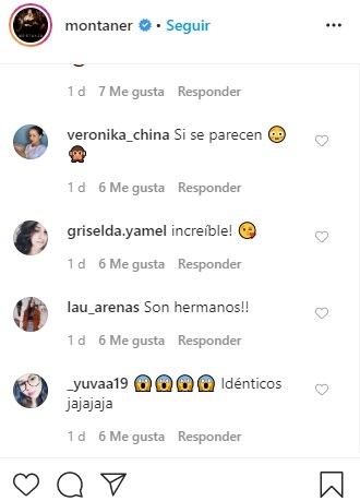 montaner3