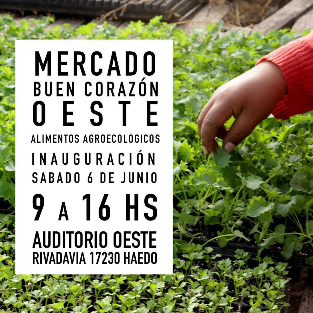 www.minutoneuquen.com mercadoagro2
