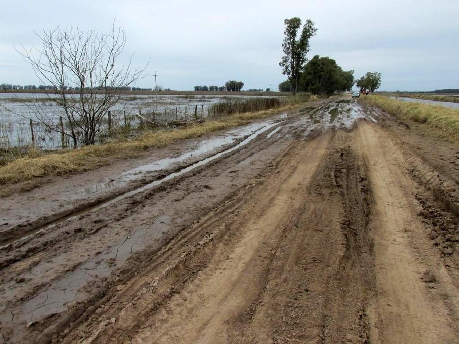 barro