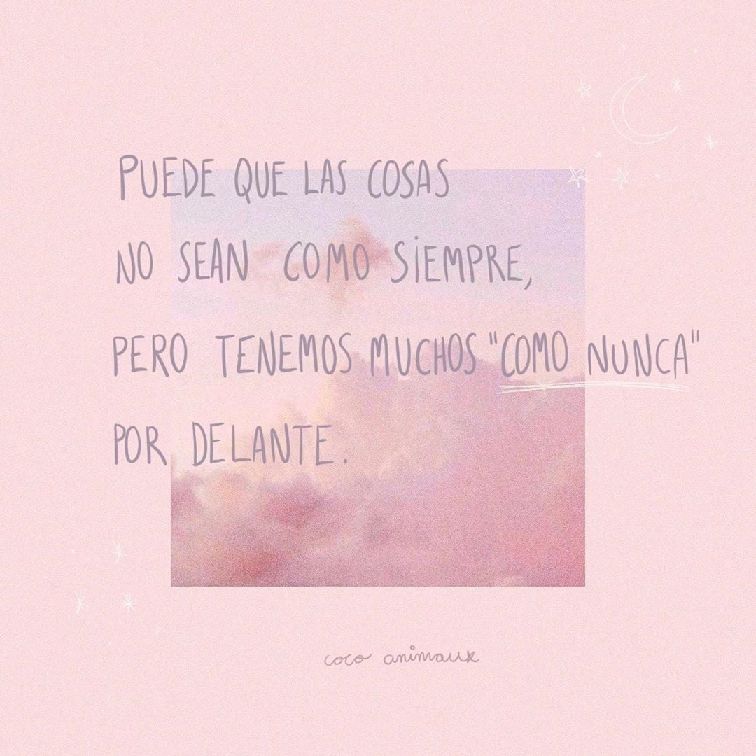 saracarbo3