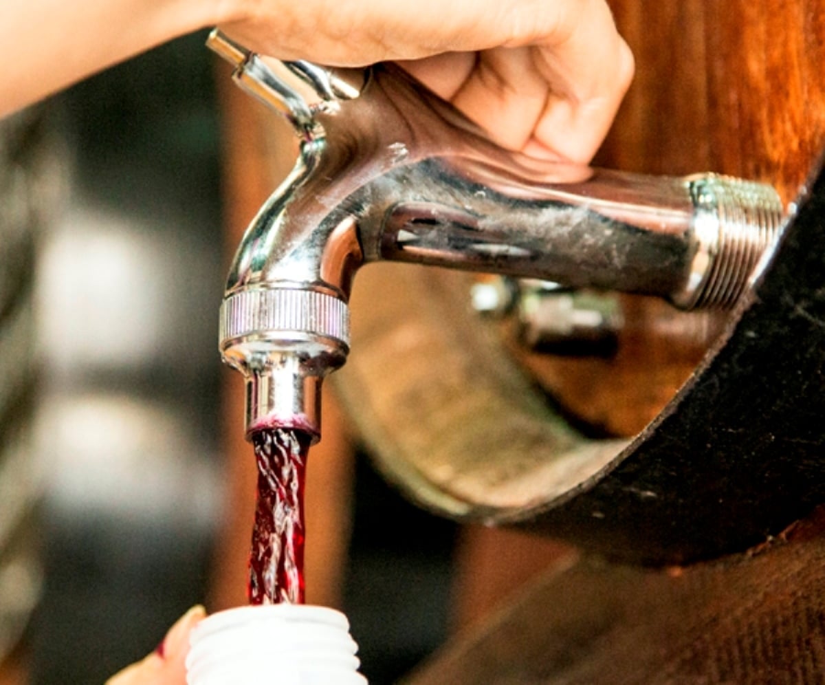 www.minutoneuquen.com vinosuelto000