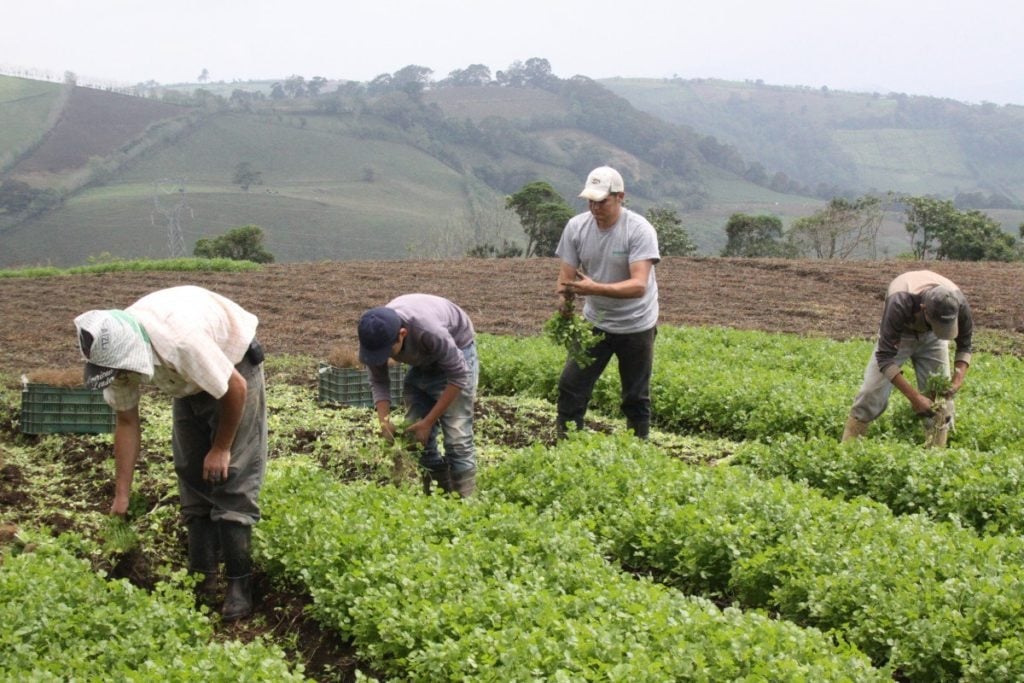 www.minutoneuquen.com agriculturafamiliar3