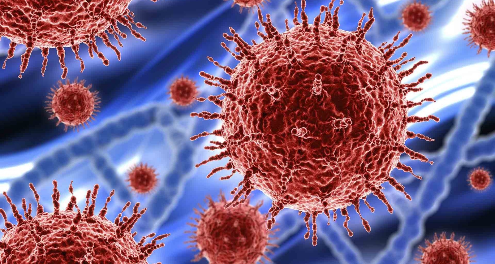 www.minutoneuquen.com Coronavirus