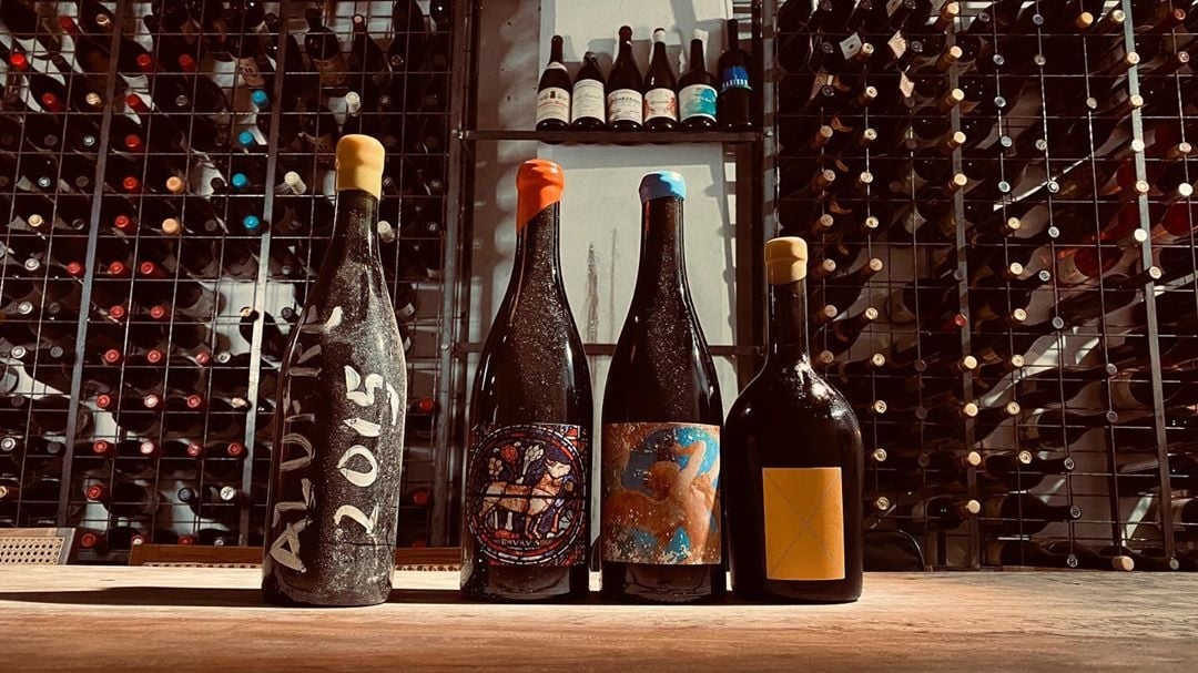 www.minutoneuquen.com vinosColagreco1