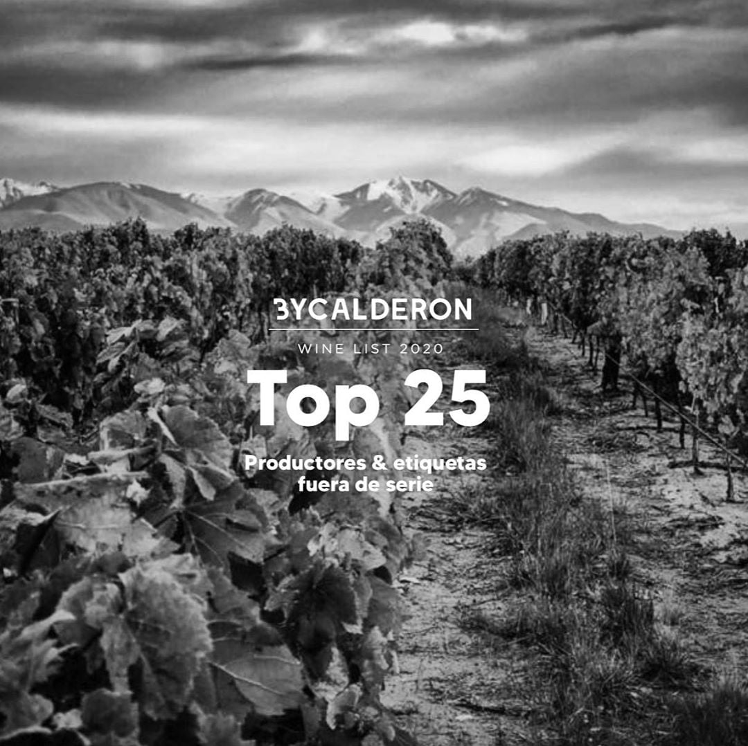 www.minutoneuquen.com vinosColagreco2