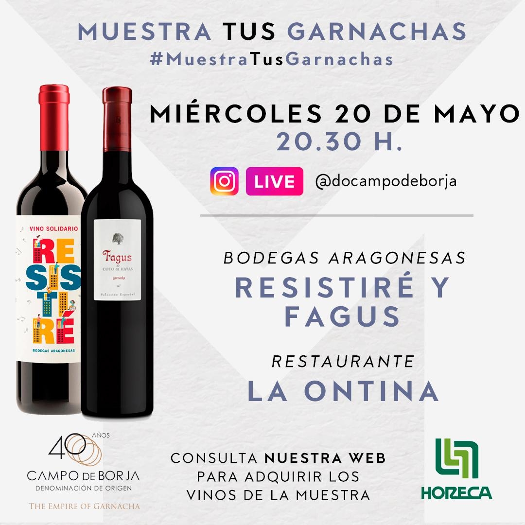 www.minutoneuquen.com vinosolidario3