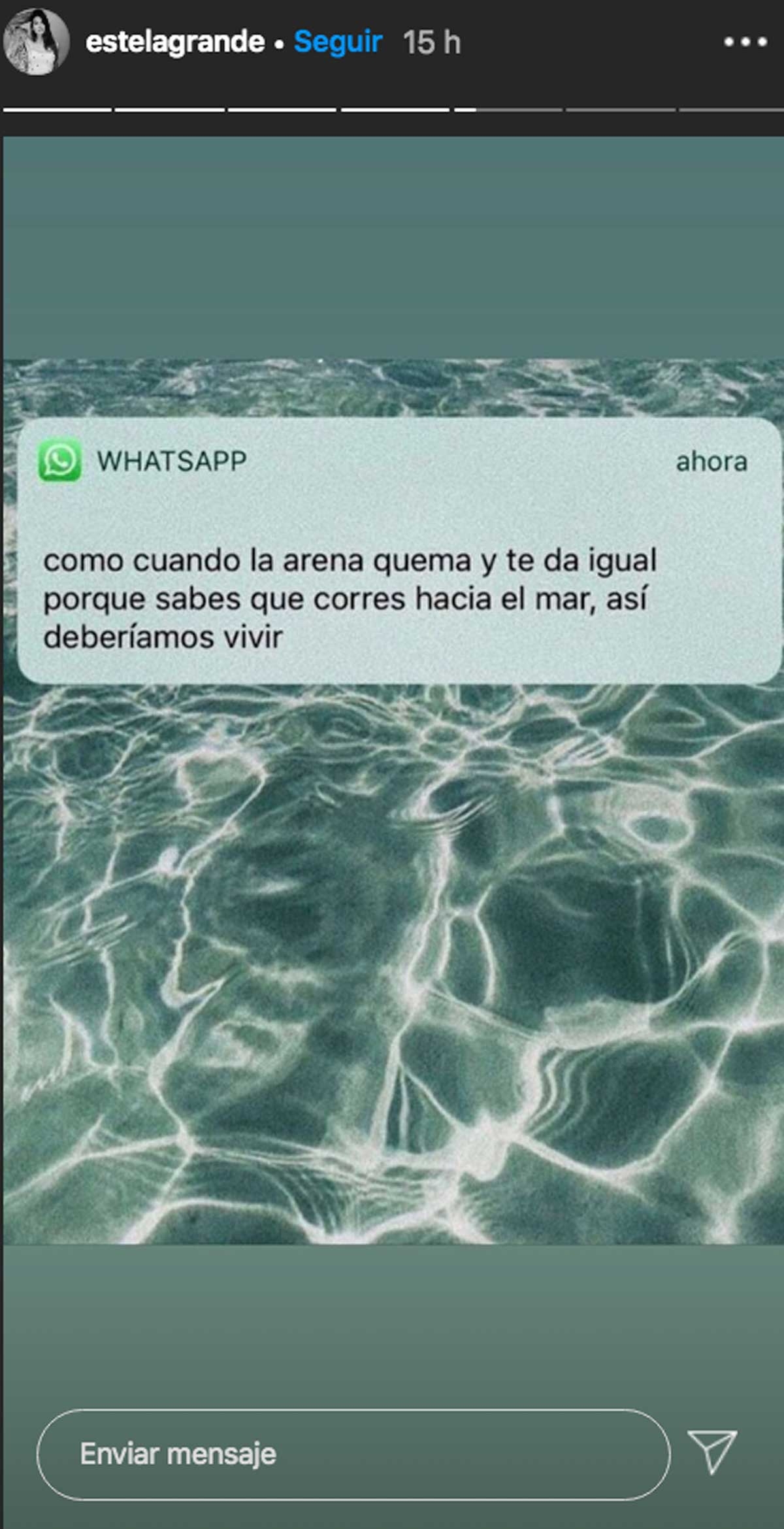 www.minutoneuquen.com_estelagrande1