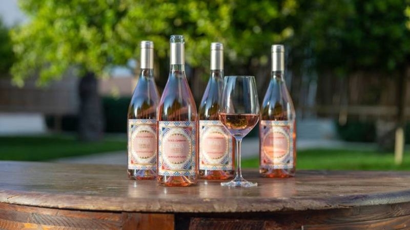 www.minutoneuquen.com vinochanel5