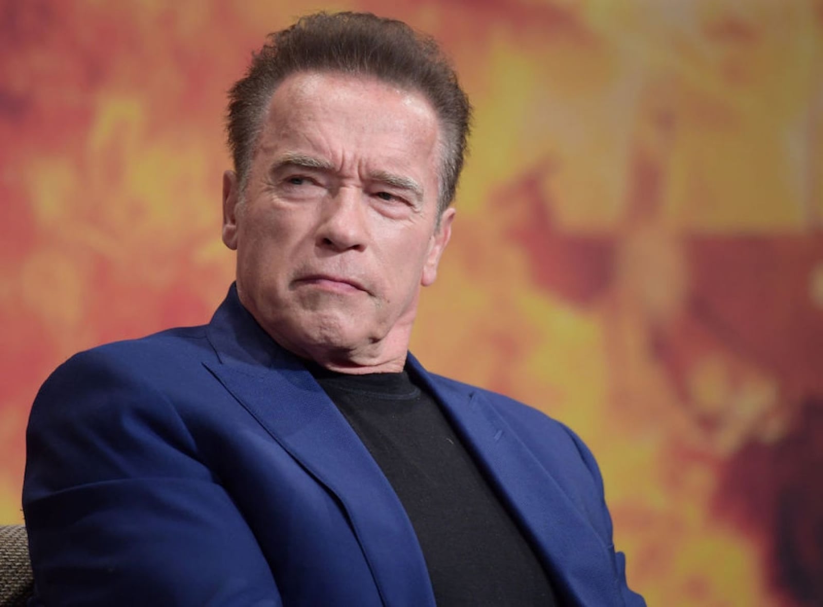 www.minutoneuquen.com schwarzenegger