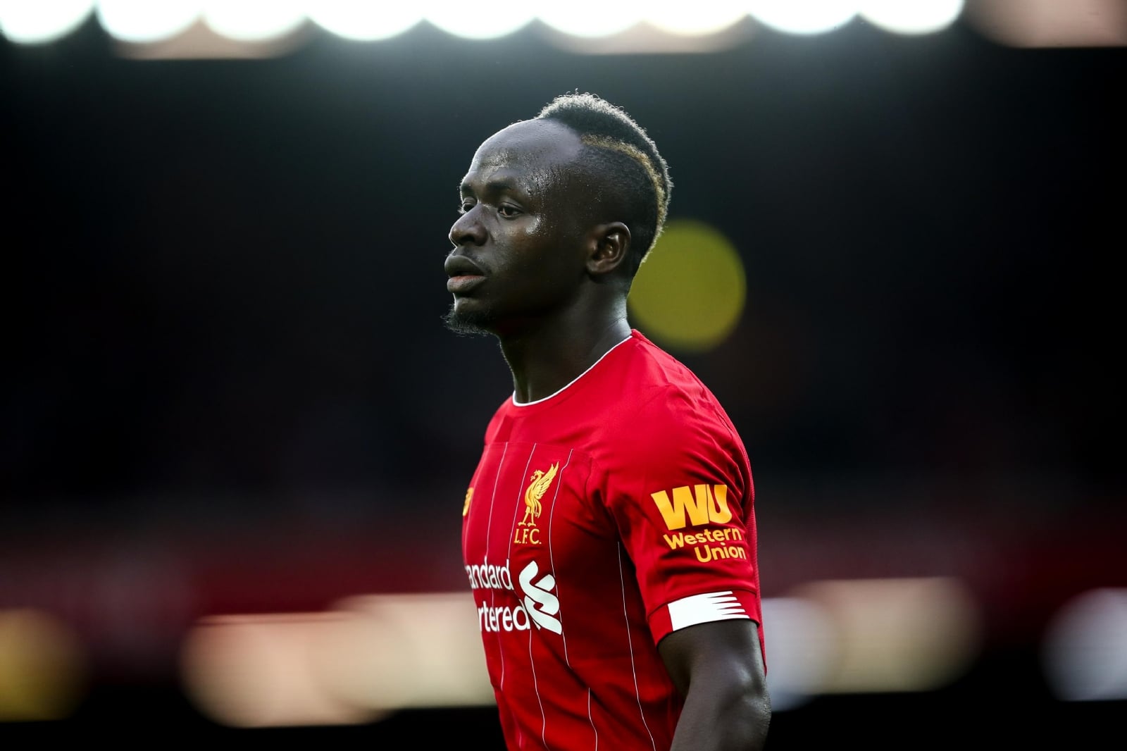 mane
