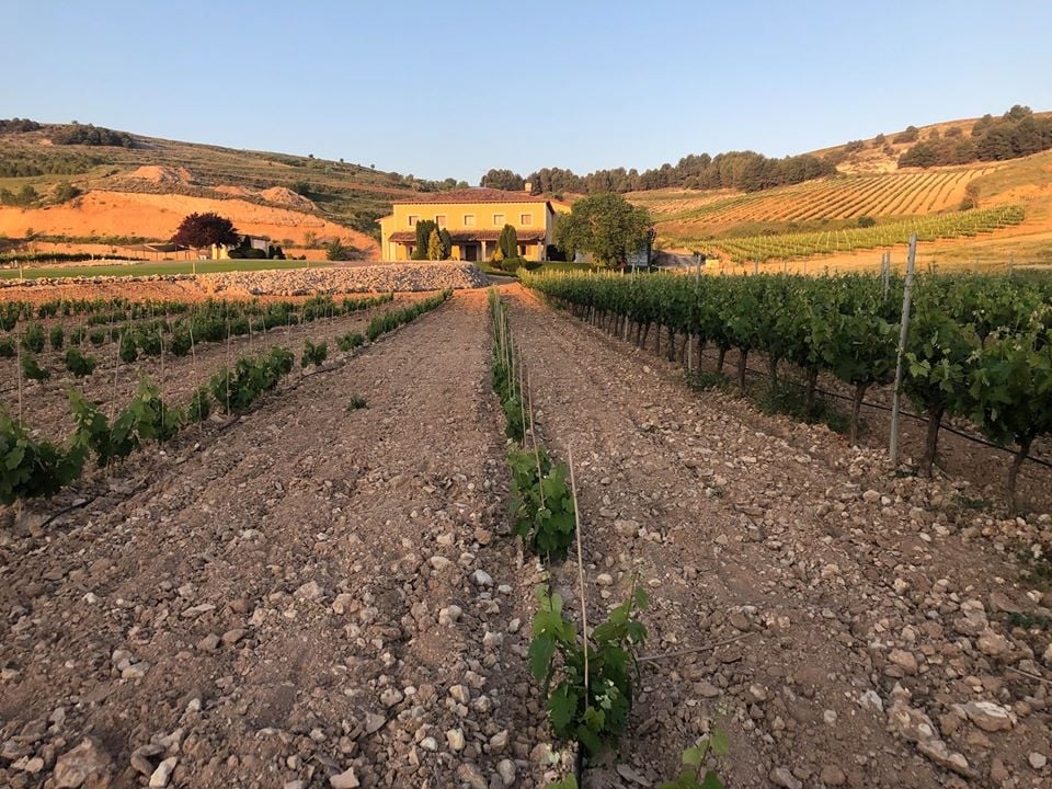 www.minutoneuquen.com vinosdelaluz1