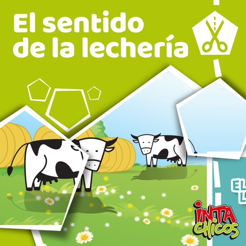 www.minutoneuquen.com cocinachicos
