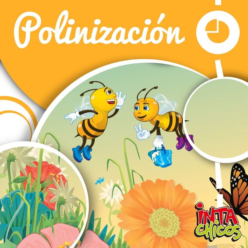 www.minutoneuquen.com cocinachicos2