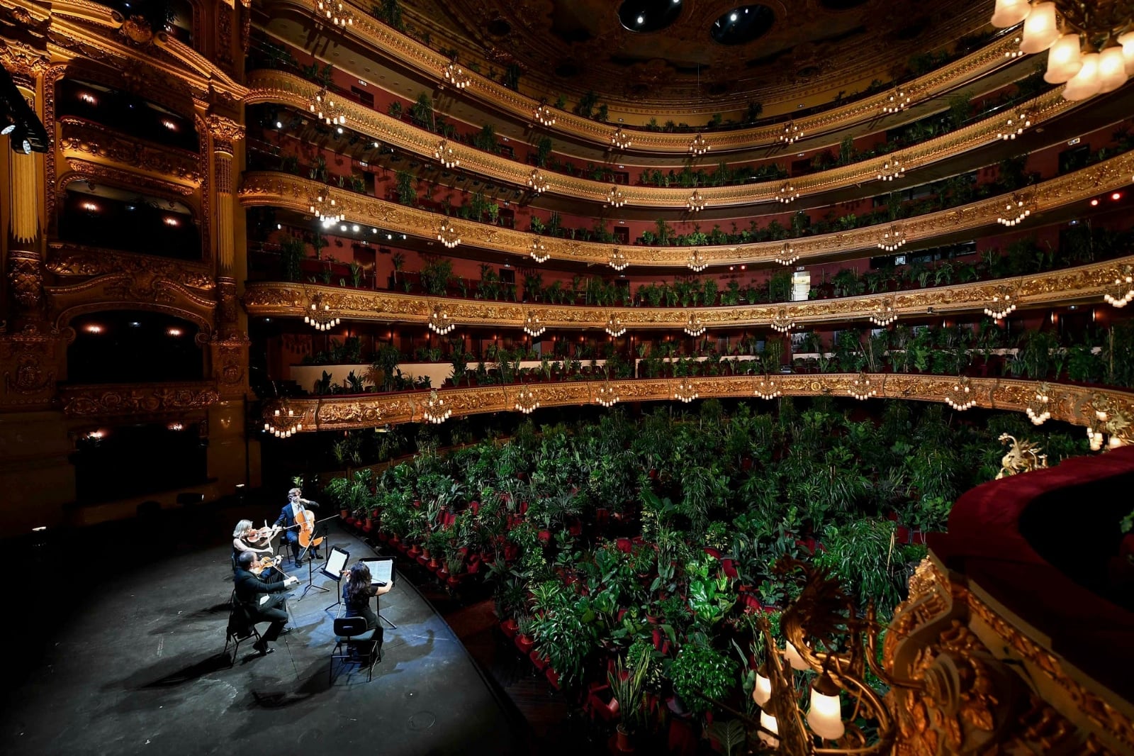 www.minutoneuquen.com teatro liceo