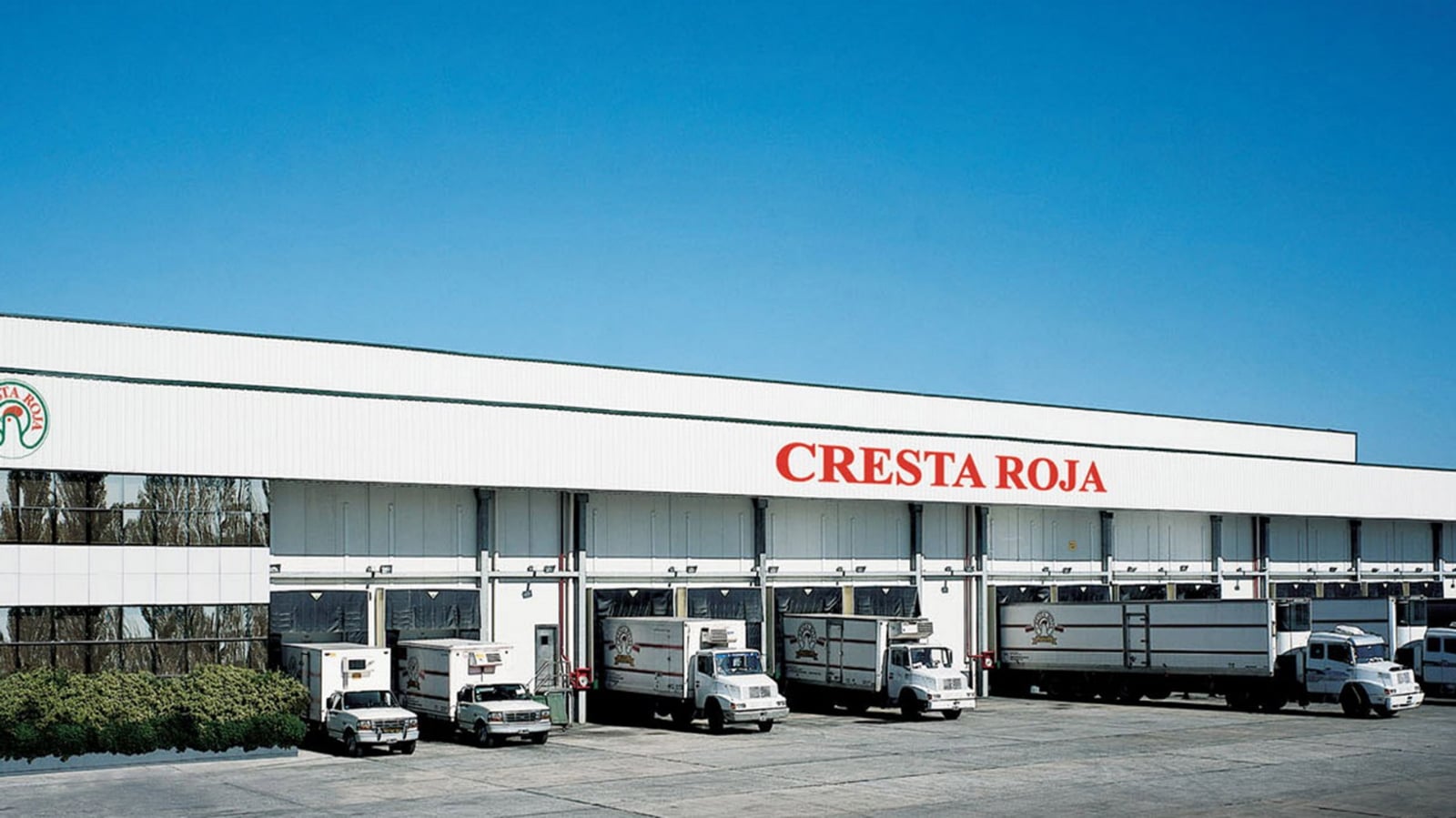 cestaaa