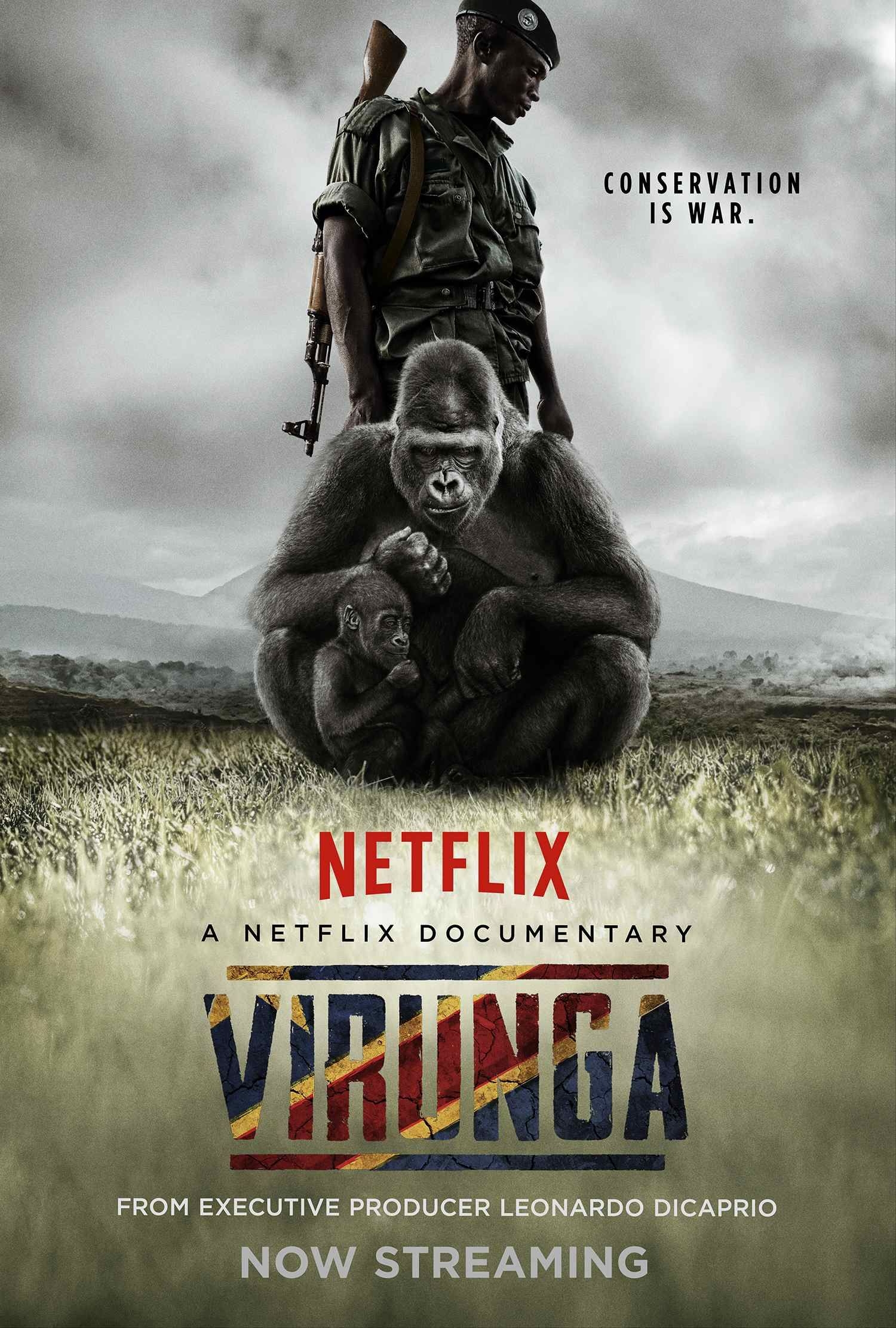 www.minutoneuquen.com virunga