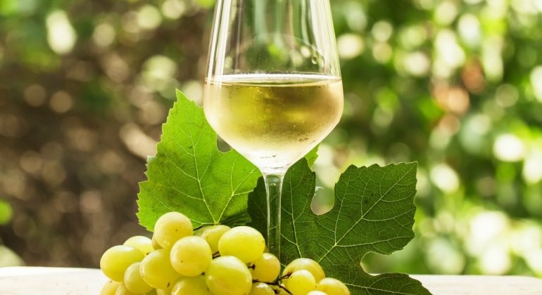www.minutoneuquen.com vinoblanco00