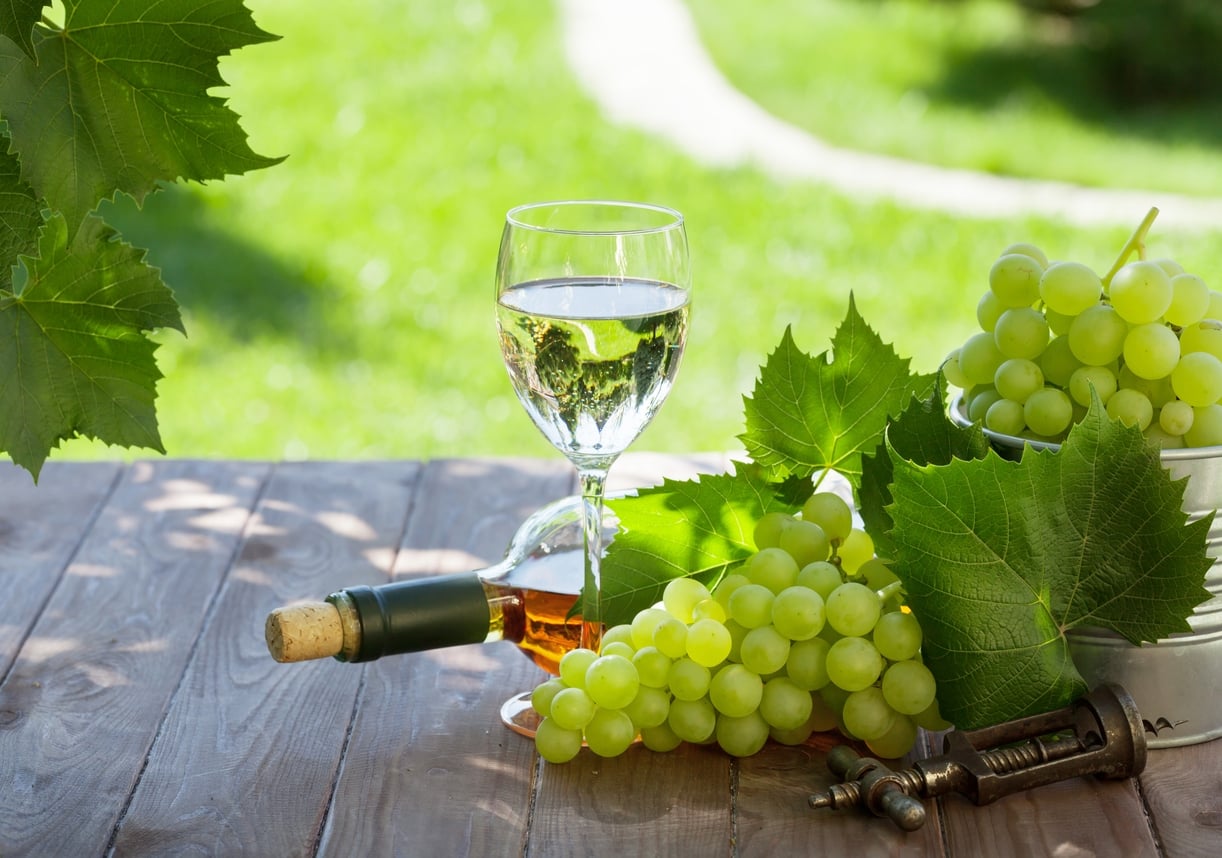 www.minutoneuquen.com vinoblanco0