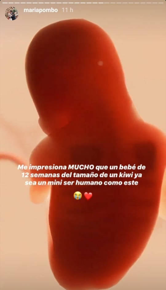 www.minutoneuquen.com mariapombo