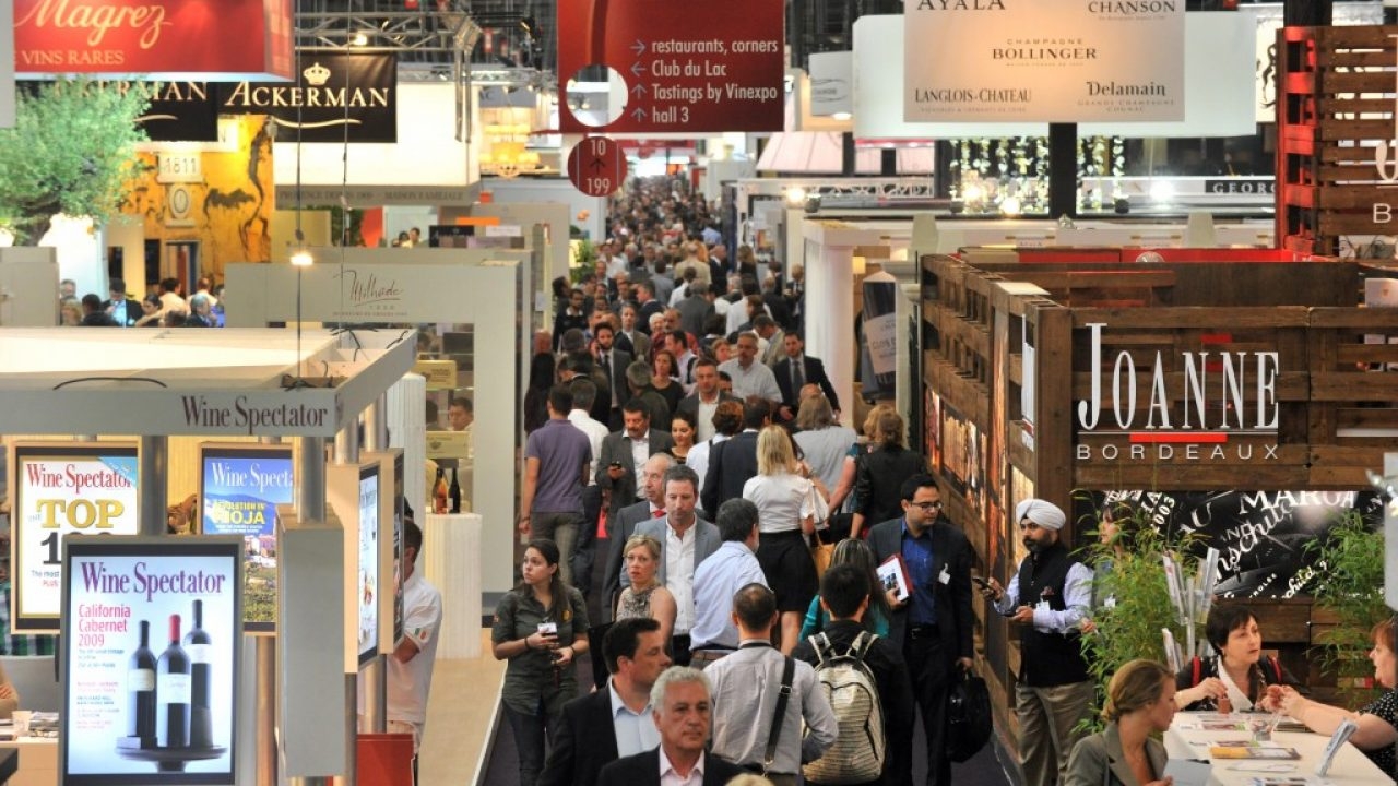 www.minutoneuquen.com vinexpo0