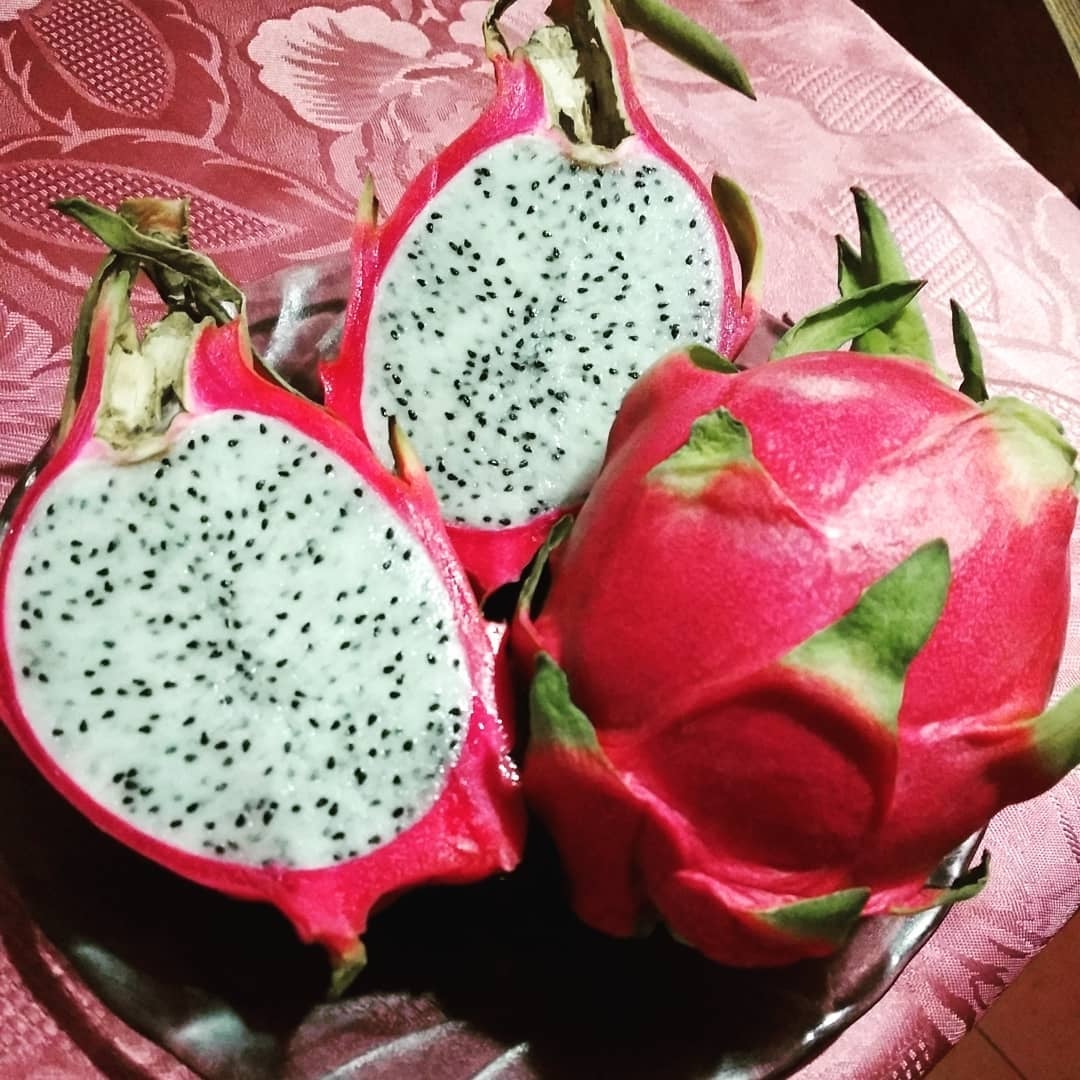 www.minutoneuquen.com pitahaya