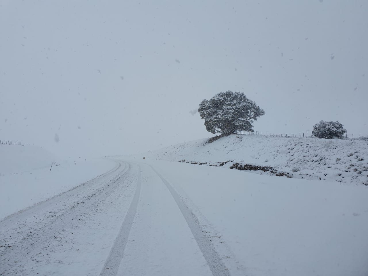 Ruta403