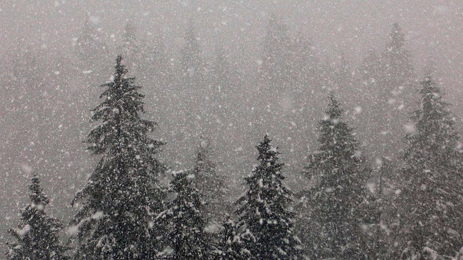 www.minutoneuquen.com nieve 1