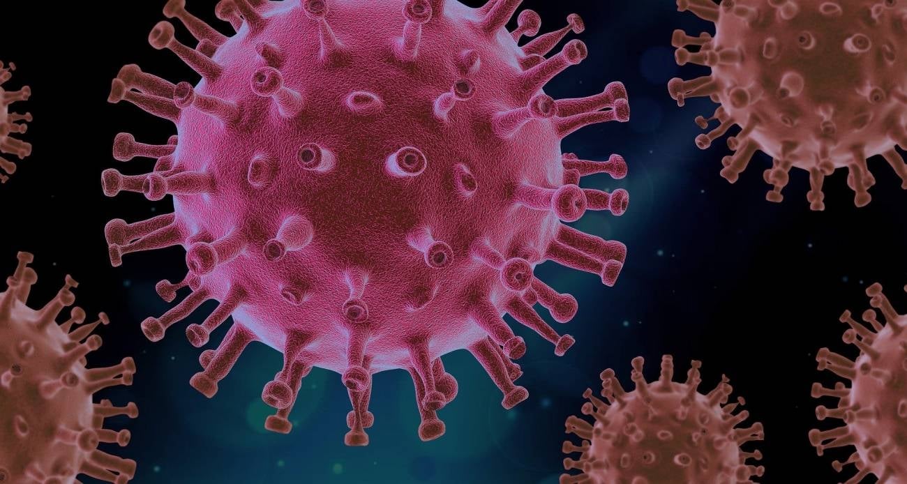 www.minutoneuquen.com coronavirus 1