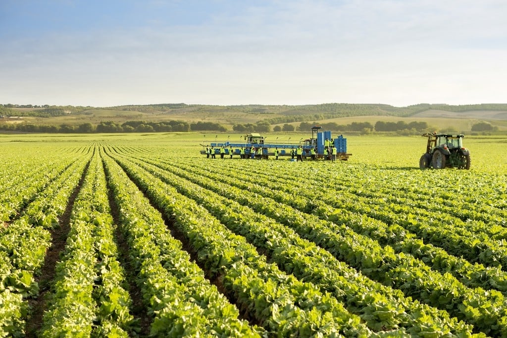 www.minutoneuquen.com agroalimentarios2