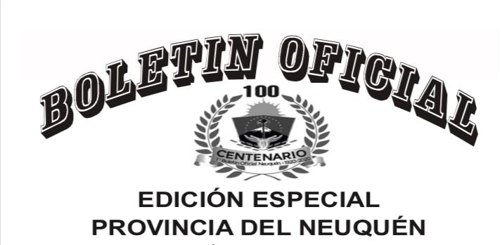 www.minutoneuquen.com boletin oficial
