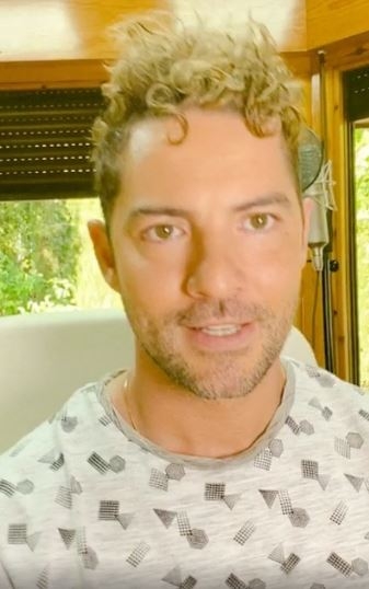 davidbisbal3