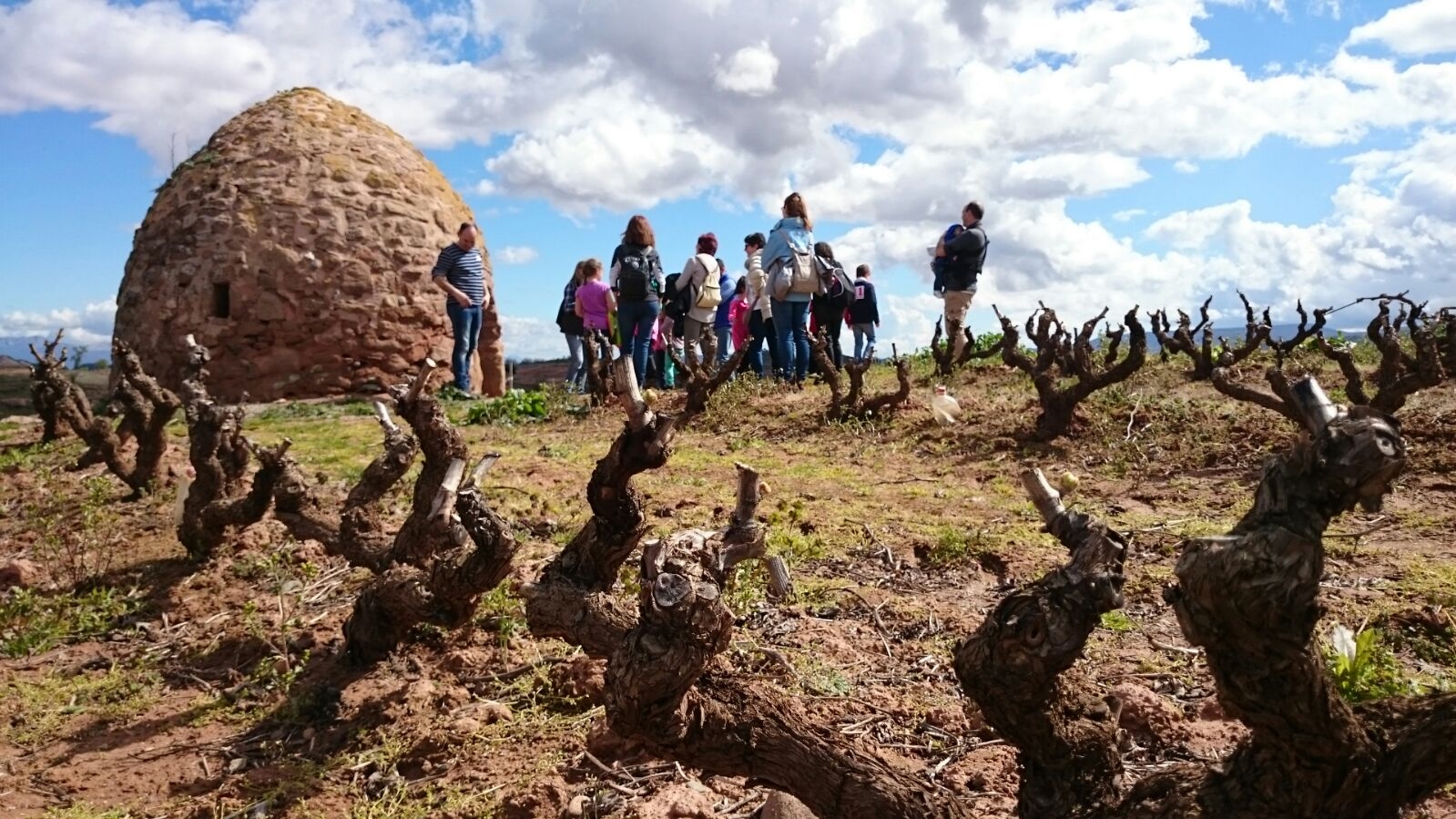 www.minutoneuquen.com enoturismo3