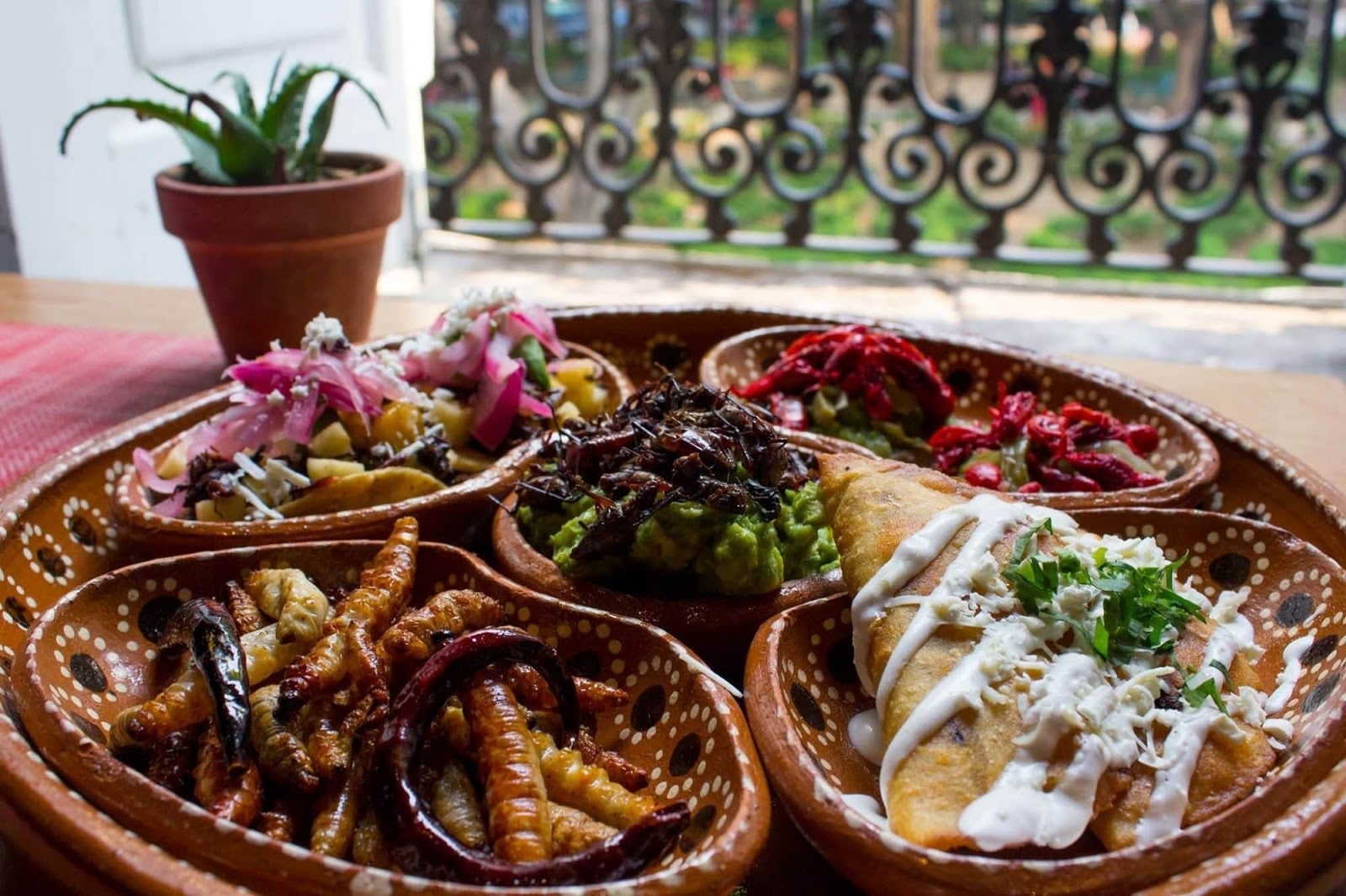 www.minutoneuquen.com cocinamexicana00