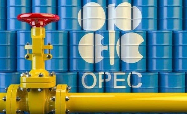 www.minutoneuquen.com PETROLEO AIE45
