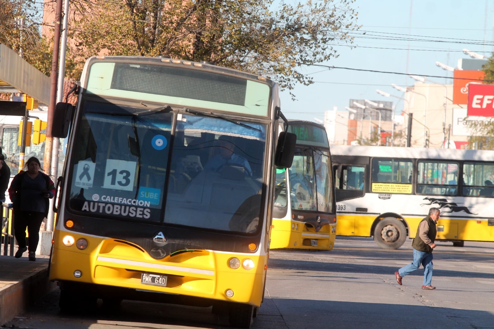 Autobuses1