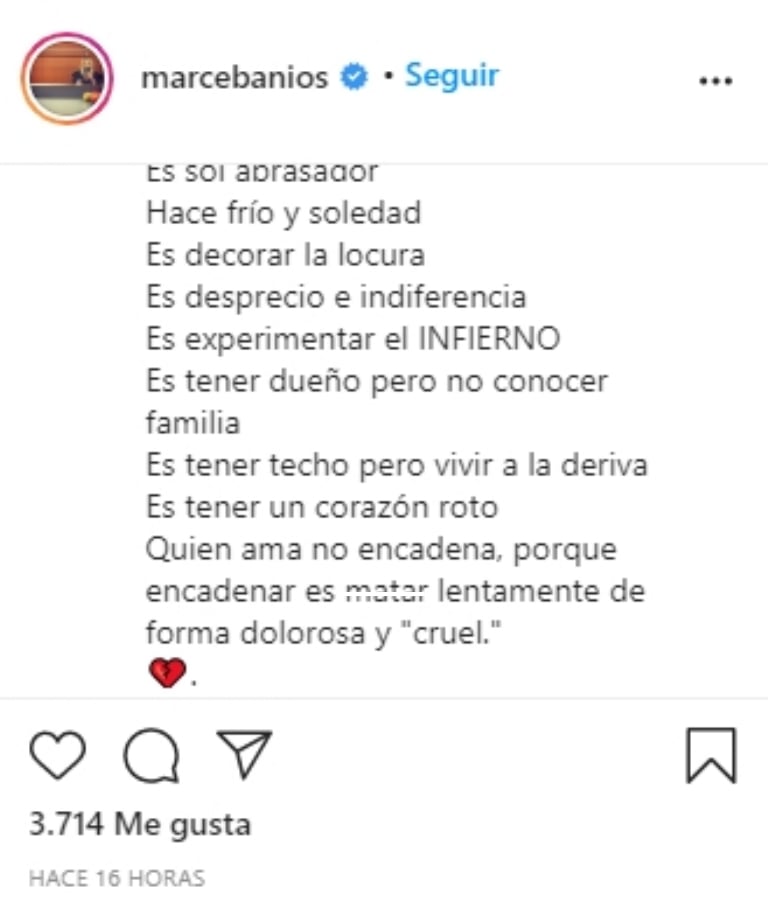Mascota