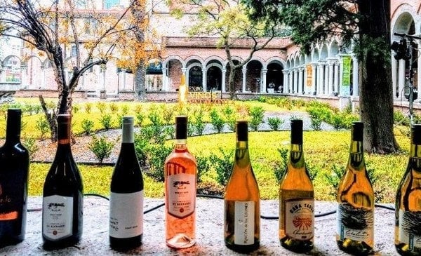 www.minutoneuquen.com vinospampa3