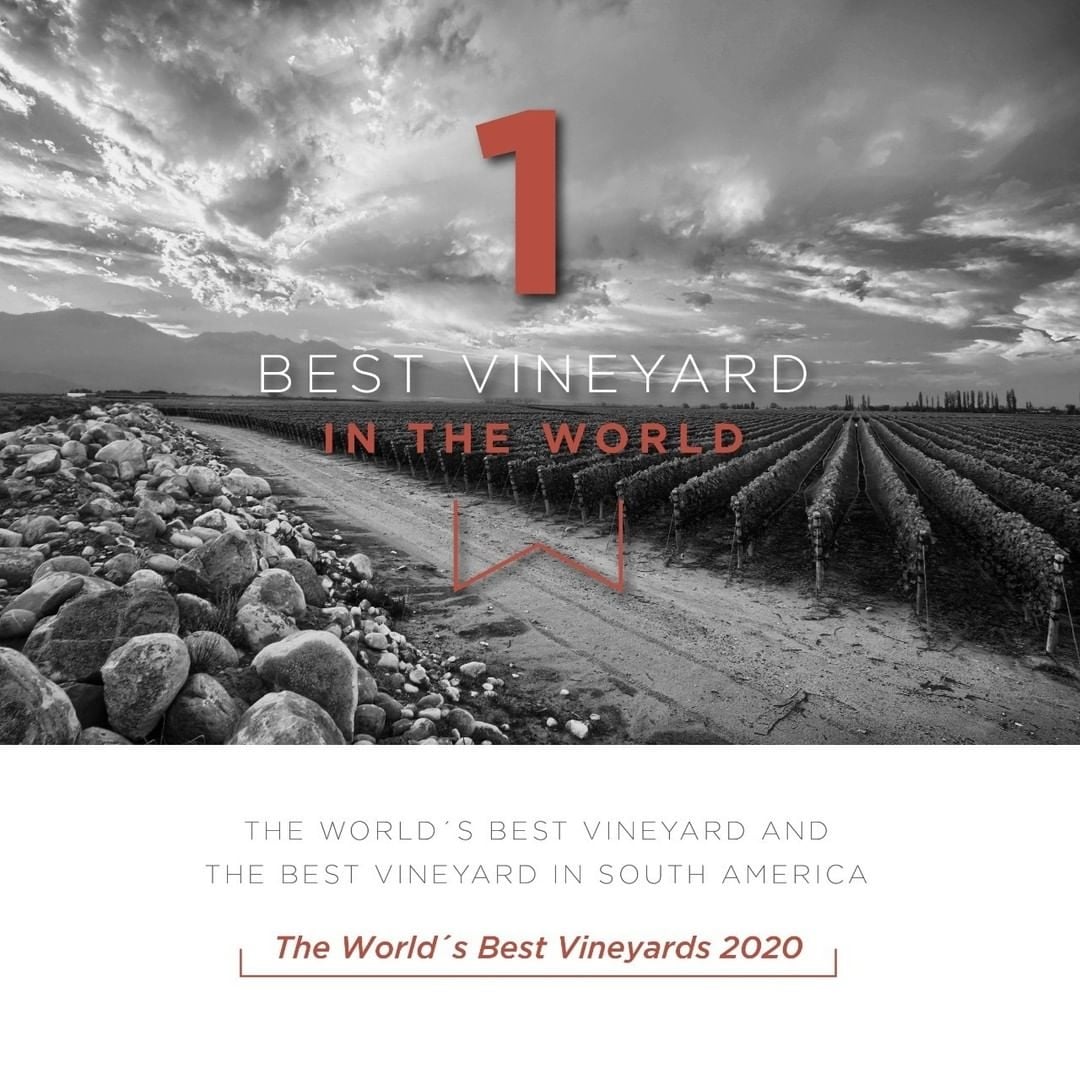 www.minutoneuquen.com zuccardi