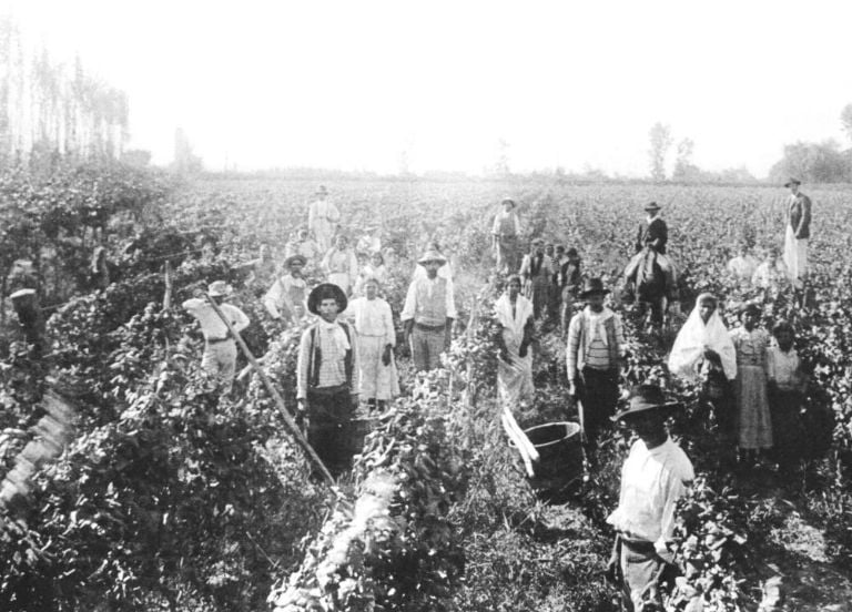 www.minutoneuquen.com vinocarlon