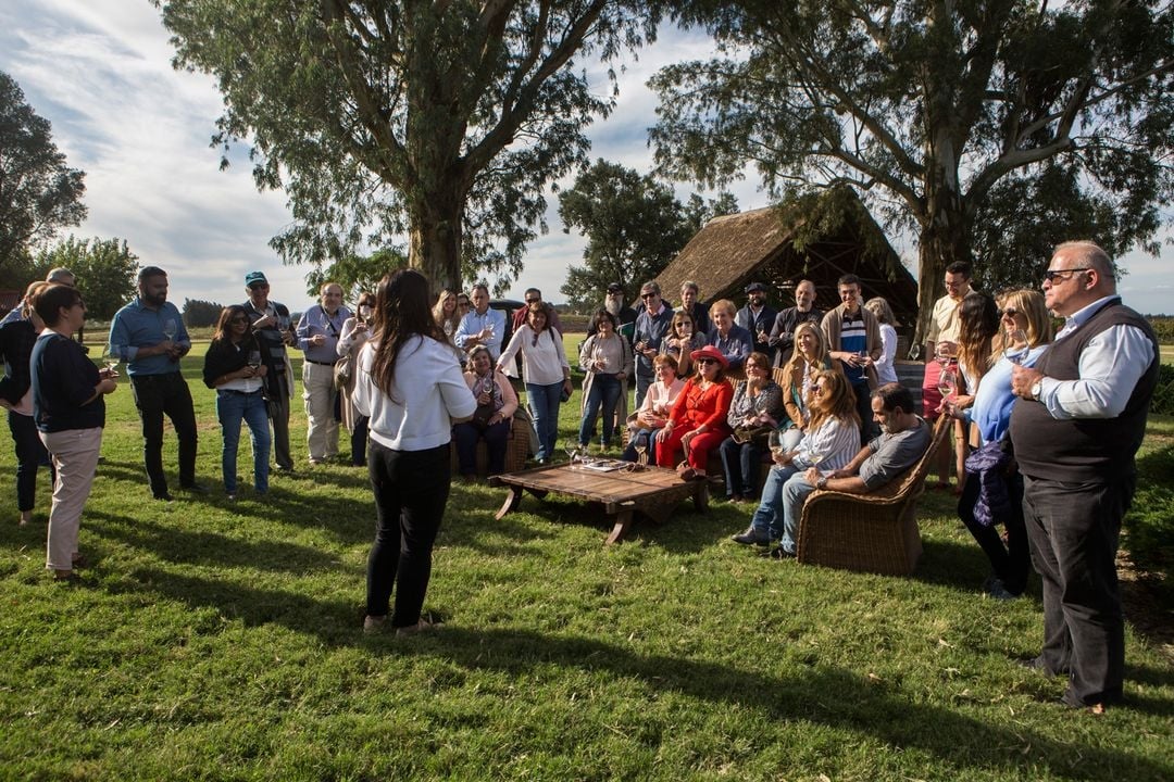 www.minutoneuquen.com vinouruguay1