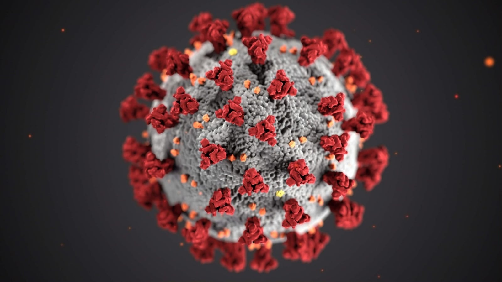 coronavirus-scaled