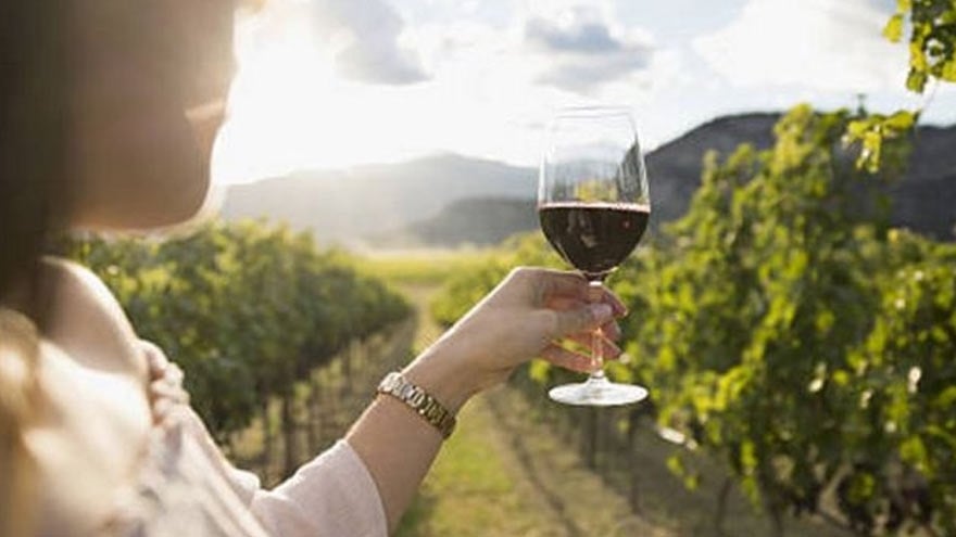 www.minutoneuquen.com vinomasivo2