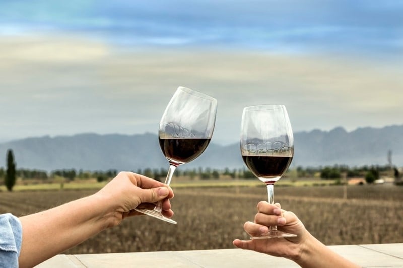 www.minutoneuquen.com vinomasivo1
