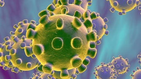 200229210420-coronavirus-cell-full-169