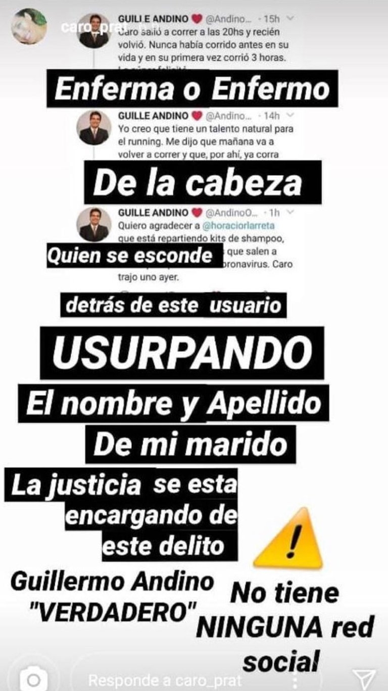 caro prat andino