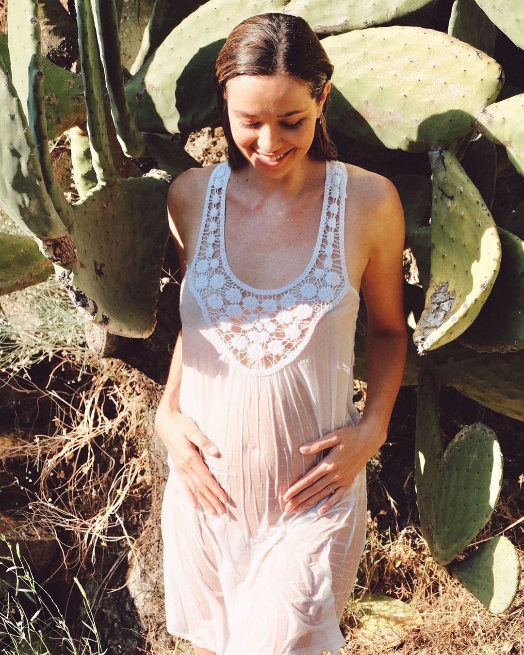 dafnef1