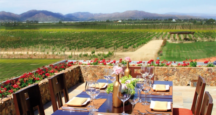 www.minutoneuquen.com bodegas2