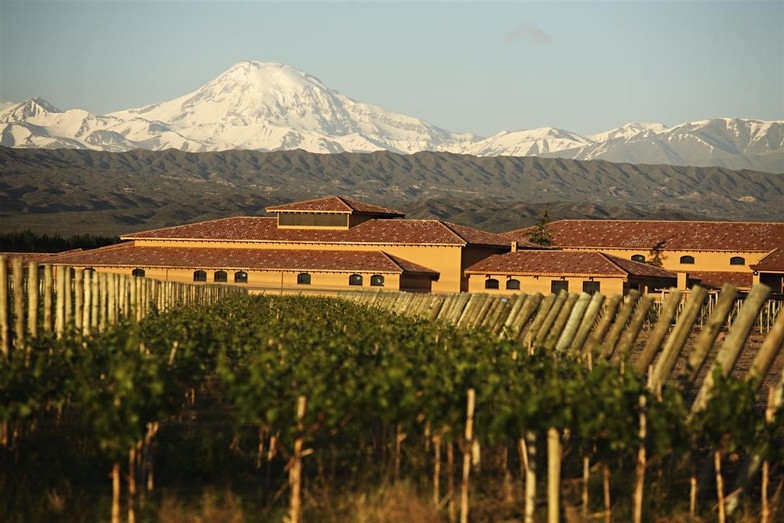 www.minutoneuquen.com bodegas3