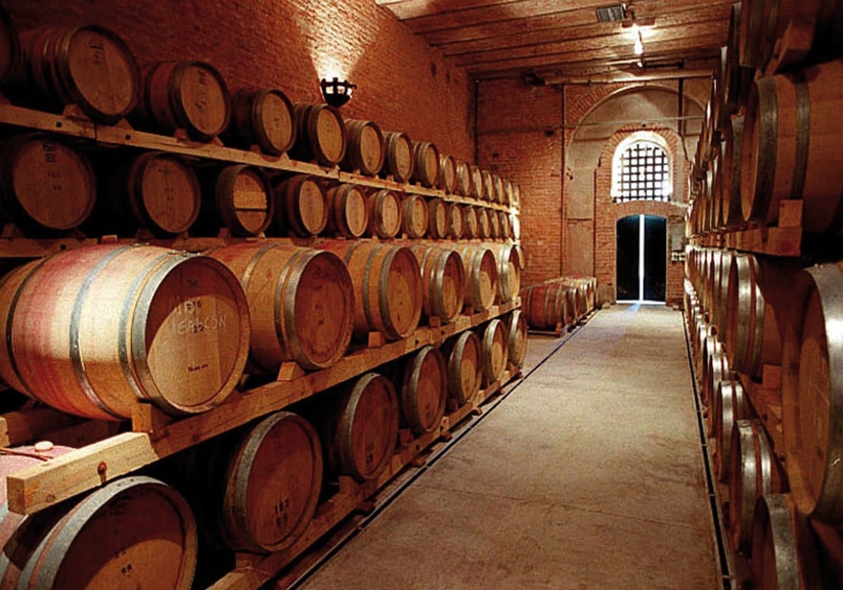 www.minutoneuquen.com bodegas0