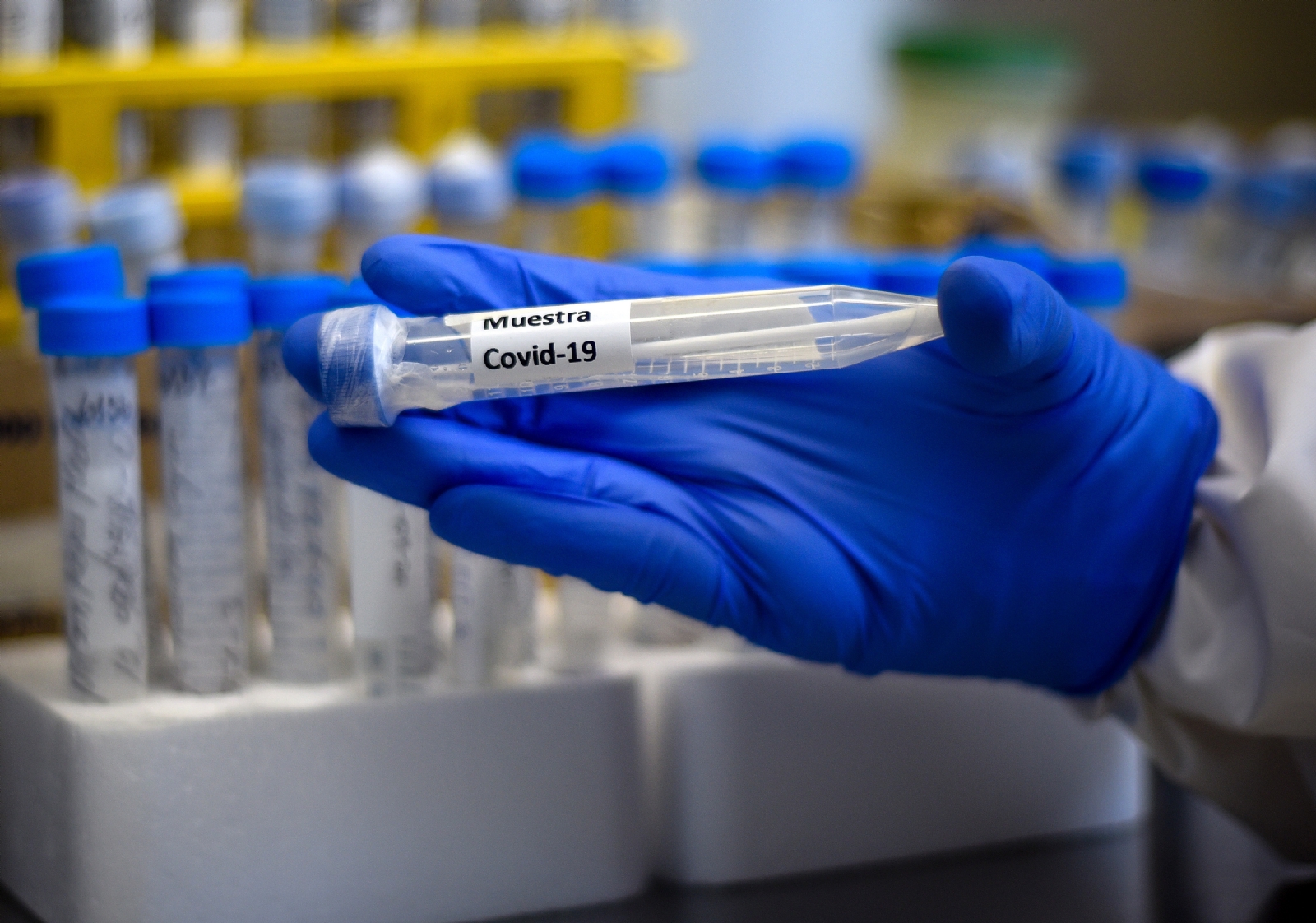 www.minutoneuquen.com coronavirus